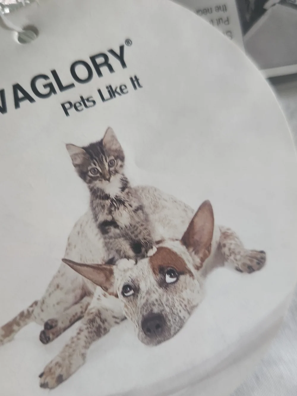 Vivaglory
